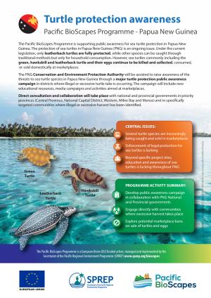 PNG-Turtle-Awareness.pdf.jpeg