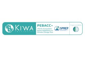 pebacc+ logo