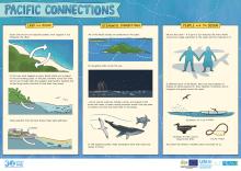 Pacific-Connections.pdf.jpeg