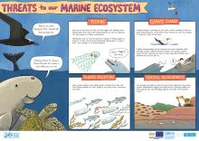 threats-marine-ecosystem.pdf.jpeg