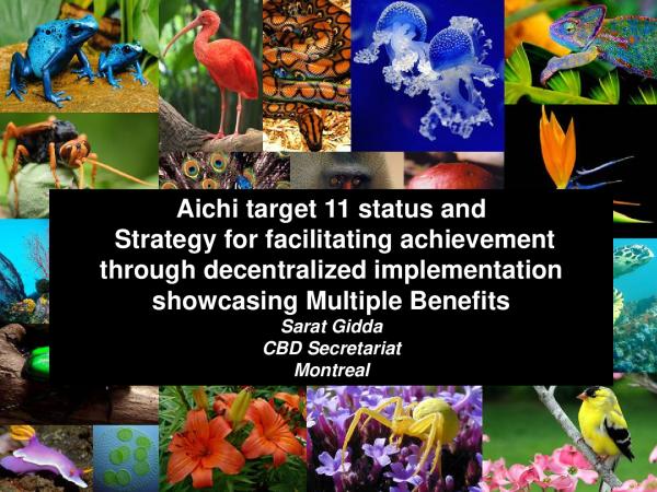 aichi-target-11-implementation-benefits.pdf.jpeg