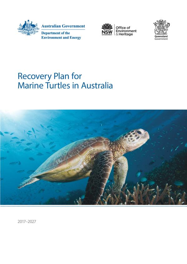 recovery-plan-marine-turtles-2017.pdf.jpeg