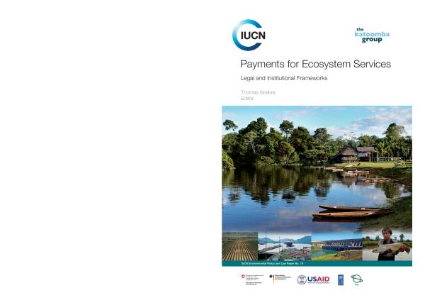 payments-ecosystem-services.pdf.jpeg