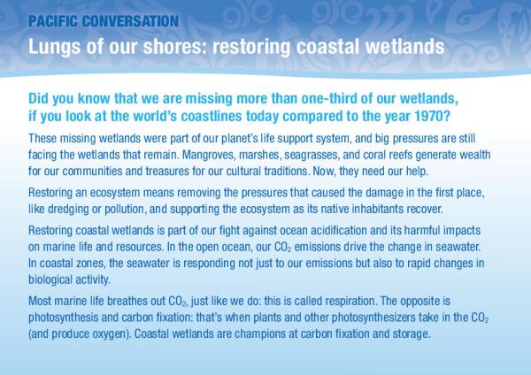 Lungs-our-shores-restoring-coastal-wetlands.pdf.jpeg