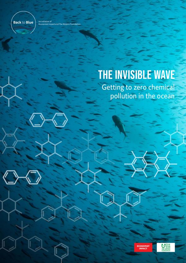 Invisible-Wave-Getting-zero-chemical-pollution-ocean2.pdf.jpeg