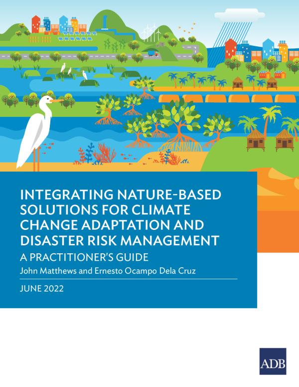 nature-based-solutions-cca-drm.pdf.jpeg
