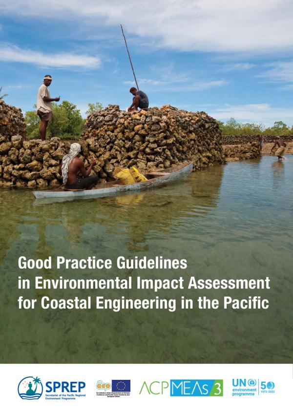 practice-environmental-impact-assessment.pdf.jpeg