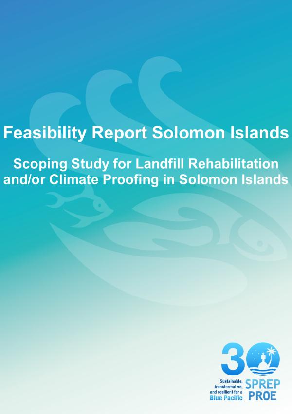 SI-Feasibility-Report.pdf.jpeg