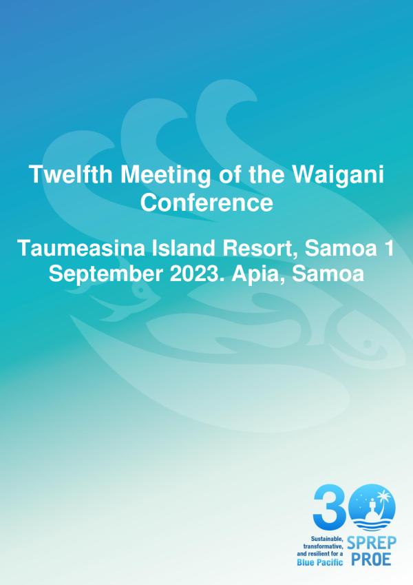 Report-12th-Waigani-Convention-Meeting.pdf.jpeg