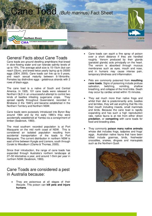 cane-toad-fact-sheet1b.pdf.jpeg