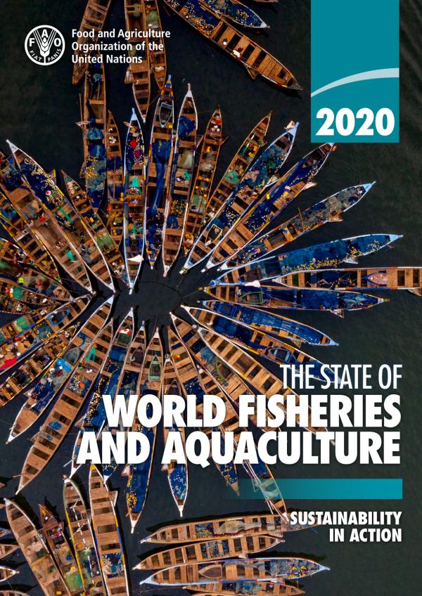 The state of world fisheries and aquaculture sustainability action
