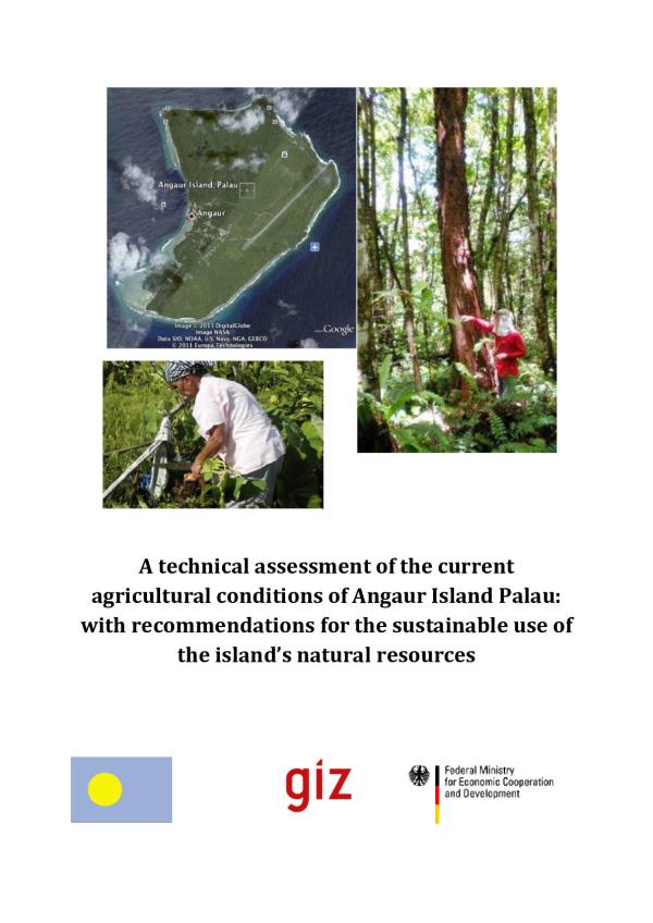 technical-assessment-current-agricultural-conditions-angaur-island-Palau.pdf.jpeg