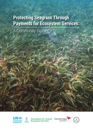 protecting-seagrass-community-guide.pdf.jpeg