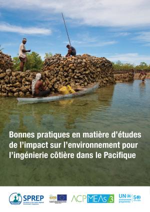 Practice-Environmental-Impact-Assessment-FR.pdf.jpeg
