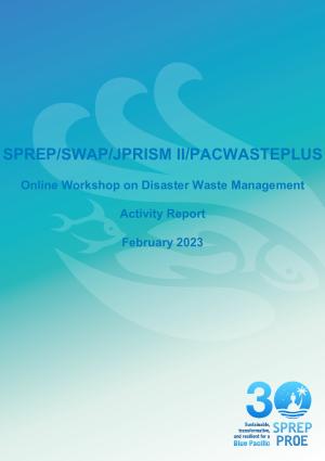 disaster-waste-management-activity-report.pdf.jpeg