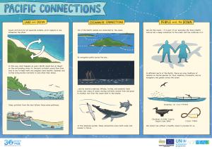 Pacific-Connections.pdf.jpeg