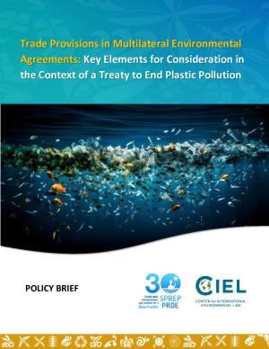 Policy-Brief-Trade-Provisions-Multilateral-Environmental-Agreements-Key-Elements-Consideration-Context.pdf.jpeg
