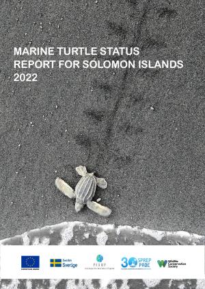 marine-turtle-solomon-islands.pdf.jpeg
