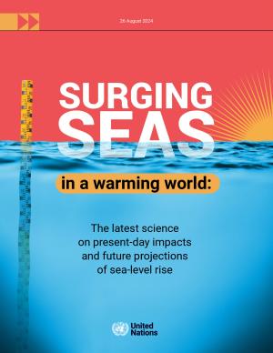 Surging-seas-in-a-warming-world-1.pdf.jpeg