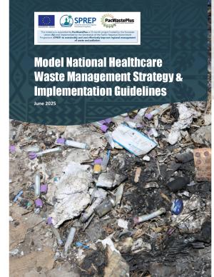 Model-HCWM-Strategy-Guidance.pdf.jpeg