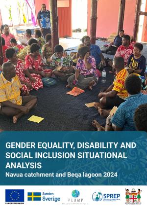 Navua_Beqa-IEMP-GEDSI-Situation-analysis-report-BIEM-PEUMP.pdf.jpeg