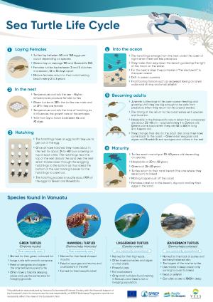 001-ENG-A3-Turtle-Life-cycle.pdf.jpeg