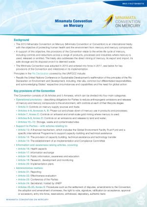 MEAs Minamata.pdf.jpeg